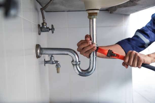 Best Commercial Plumbing Services  in Lindenhurst, IL